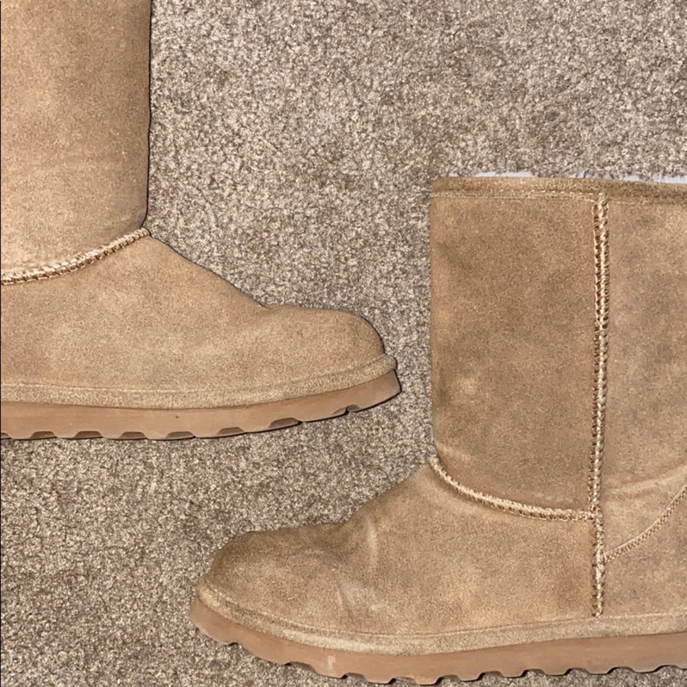 bear paw boots